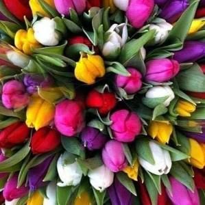 Meet your Posher, Christine